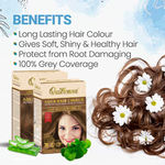 Buy QuikHenna Aqua Powder 5G Light Golden Brown Hair Color For Unisex 110g - Purplle