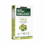 Buy Indus valley bio organic amla powder 100g - Purplle