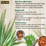 Buy Indus valley Bio organic Hair reborn Aloe vera gel with Bhringraj & Walnut oil (175 ml) - Purplle