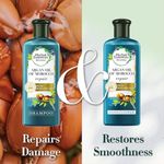 Buy Herbal Essences Argan Oil of Morocco SHAMPOO- For Hair Repair and No Frizz- No Paraben, No Colorants, 240 ml - Purplle