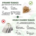 Buy Tea Treasure Darjeeling First Flush Tea - 10 Pyramid Tea Bags - Purplle