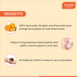 Buy Vaadi Herbals Orange & Shea Butter Lip Balm Value Pack Of 4 (4 X 10 g) - Purplle