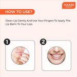 Buy Vaadi Herbals Orange & Shea Butter Lip Balm Value Pack Of 4 (4 X 10 g) - Purplle