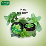 Buy Vaadi Herbals Lip Balm Mint Value Pack Of 4 (4 X 10 g) - Purplle