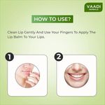 Buy Vaadi Herbals Lip Balm Mint Value Pack Of 4 (4 X 10 g) - Purplle