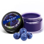 Buy Vaadi Herbals Assorted Pack of 8 Lip Balms (2 Strawberry, 2 Orange, 2 Lychee, 1 Mint and 1 Blueberry)(10 g x 8) - Purplle