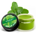 Buy Vaadi Herbals Assorted Pack of 8 Lip Balms (2 Strawberry, 2 Orange, 2 Lychee, 1 Mint and 1 Blueberry)(10 g x 8) - Purplle