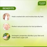 Buy Vaadi Herbals Value Pack Of 3 Foot Cream - Clove & Sandal Oil (150 g * 3) - Purplle