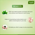 Buy Vaadi Herbals Lip Balm Mint Super Value Pack Of 8 (6 + 2 Free) (10 g X 8) - Purplle