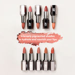 Buy C2P Pro Matte Lip FX Lipstick - Rust Red 02 - Purplle