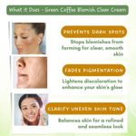 Buy Mystiq Living Anti Pigmentation Cream, Anti Blemishes Cream, Niacinamide And Kojic Acid Night Cream Green Coffee Day & Night Cream (50 gm) Dark Spots Removal Night Cream For Women & Men - Purplle