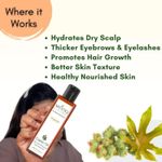 Buy Mystiq Living Castor Oil ( 200 ml ) Castor Oil for Hair Growth | Cold Pressed Castor Oil | Organic | 100% Pure Castor Oil for Skin, Moisturizing Dry skin, Nail, Eyelash Virgin Grade | No Parabens, No Sulphates, No Minerals Oil - Purplle