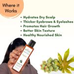 Buy Mystiq Living Castor Oil (100 ml) Castor Oil for Hair Growth | Cold Pressed Castor Oil | Organic | 100% Pure Castor Oil for Skin, Moisturizing Dry skin, Nail, Eyelash Virgin Grade | No Parabens, No Sulphates, No Minerals Oil - Purplle