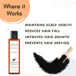 Buy Mystiq Living Kalonji Oil (100 ml)  Black Seed Oil - Nigella Satival Hair Growth & Skin | kalonji Hair Oil | Cold Pressed Pure and Natural - Purplle