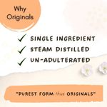 Buy Mystiq Living 100% Pure Rose Water (200 ml) | Gulab Jal | Rose Water for Face | Rose Water Toner Spray | Gulabari Rose Water | For Dry Skin | Rosewater | Natural Skin Toner | Pure & Natural Hydrosol For Skin, Hair & Face - Purplle