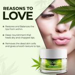 Buy Colorbar Vita Hemp Restoring & Balancing Lip Scrub 15 gm - Purplle