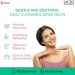 Buy Lacto Calamine Daily Cleansing Wipes (25 wipes) - Purplle