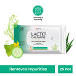 Buy Lacto Calamine Daily Cleansing Wipes (25 wipes) - Purplle