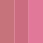 Buy Cuffs N Lashes Matte Mini Set of 3 Matte Liquid Lipstick, Main Character (6 gm) - Purplle