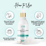 Buy The Beauty Sailor Advance Dandruff Control Shampoo | Controls Excessive Oils | Anti Dandruff Shampoo for Men and Women | Made with Natural Ingredients | 300 ml - Purplle