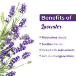 Buy Good Vibes Lavender Softening Body Lotion | Anti-Acne, Anti-Ageing | No Parabens, No Sulphates, No Animal Testing (400 ml + 100 ml free) - Purplle
