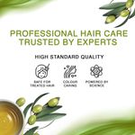 Buy Streax Professional Spa Nourishment Repair & reconstruct Concentrate, For Dry Damaged Hair, (60 ml) - Purplle