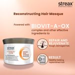 Buy Streax Professional Vitariche Care Repair Max Hair Masque |For Healthy Hair | 500 gm - Purplle