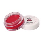 Buy Recode Lip & Cheek Tint- 02- Breaking The Rules - 8 gm - Purplle