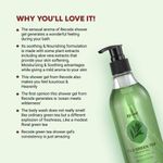 Buy Recode Shower Gel- 03- Fuji Green Tea - 300 ml - Purplle