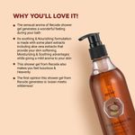 Buy Recode Shower Gel- 04- Wild Argan - Purplle