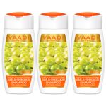 Buy Vaadi Herbals Amla Shikakai Hairfall & Damage Control Shampoo (110 ml x 3) (Pack of 3 ) - Purplle