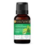 Buy Soulflower Peppermint Essential Oil for Hair & Skin Care, Aromatherapy, Home Diffuser - 100% Pure, Organic, Natural Undiluted Oil, Ecocert Cosmos Organic Certified 15 ml - Purplle
