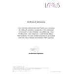 Buy Lotus Professional Cleansing Facial Green Tea And Chamomile Soothing Masque | Anti-Tan & Soothing Mask | All skin types | 60g - Purplle