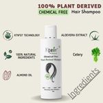 Buy Ktein 100% Plant Based Hair Heat Protection Spray with EXTRA SHINE, Chamomile, Argan and Vitamin E 100ml - Purplle