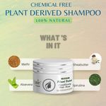 Buy Ktein Cosmetics Natural Chemical Free Plant Derived Conditioning Hair Mask (100ml) - Purplle