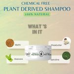 Buy Ktein Cosmetics Natural Chemical Free Plant Derived Conditioning Hair Mask (200ml) - Purplle