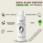 Buy Ktein Cosmetics Natural Chemical Free Plant Derived Shampoo and Conditioning Hair Mask (100 ml) - Purplle