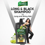 Buy Dabur Vatika Long & Black Shampoo - 640ml | With Amla & Bhringhraj I For Shiny, Long & Black Hair | No Added Parabens | Provides Gentle Cleansing, Conditioning and Nourishment to Hair - Purplle