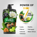 Buy Dabur Vatika Long & Black Shampoo - 640ml | With Amla & Bhringhraj I For Shiny, Long & Black Hair | No Added Parabens | Provides Gentle Cleansing, Conditioning and Nourishment to Hair - Purplle