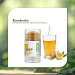Buy Organic Harvest Hydrating Stick Mask: Kombucha | For Men & Women | Reduces Hyperpigmentation 1 Pc - Purplle