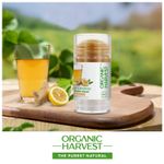 Buy Organic Harvest Hydrating Stick Mask: Kombucha | For Men & Women | Reduces Hyperpigmentation 1 Pc - Purplle