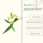 Buy Good Vibes Amla & Bhringraj Strengthening Hair Oil (100 ml) - Purplle
