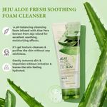Buy The Face Shop Jeju Aloe Fresh Soothing Foam Cleanser | Gel to Foam cleanser for Skin,Body and Face | Hydrating & cooling cleanser, 150ml - Purplle