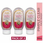 Buy Globus Purifying With Glycolic & Salicyclic Acid Face wash 100 ml (Pack Of 3) - Purplle