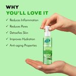 Buy Joy Revivify Green Tea Face Toner 150 ml - Purplle