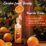 Buy Buds & Berries Brightening Vitamin C Tangerine Foaming Face Wash with Built-In Soft Silicone Brush | pH Balanced Gentle Face Wash | No Sulphate, No Paraben (150 ml) - Purplle