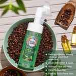 Buy Buds & Berries Clove & Tea Tree Oil Foaming Face Wash for treating acne with Built-In Soft Silicone Brush | pH Balanced Gentle Face Wash | No Sulphate, No Paraben (150 ml) - Purplle