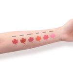 Buy Imagic Professional Cosmetics Touch Blush Palette 6 Color (42.8 gm) - Purplle