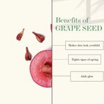 Buy Good Vibes Grape Seed Skin Tightening Facial Oil | Anti-Ageing, Brightening, Tightening | No Parabens, No Sulphates, No Animal Testing (10 ml) - Purplle