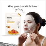 Buy Dr.Rashel Honey Balancing Facial Sheet Mask Suitable For All Skin Type 1 Pc - Purplle